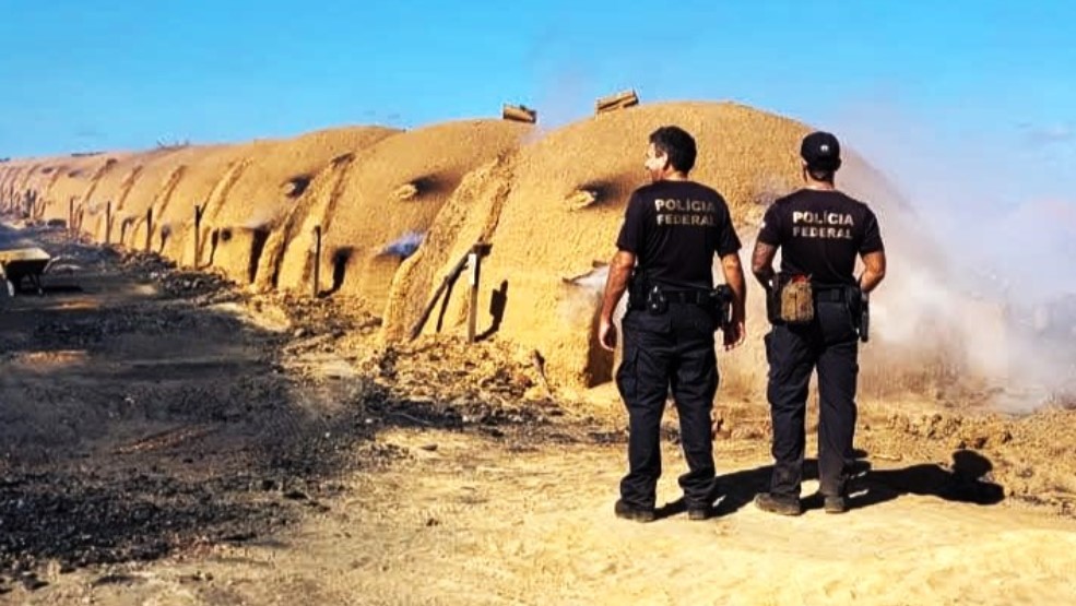 PF resgata 12 trabalhadores em situação análoga à escravidão em fazendas do Maranhão