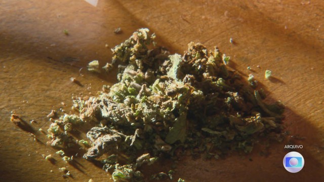 Defensoria Pública pede suspensão de processos por porte de maconha em Itapecuru-Mirim