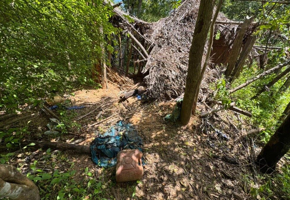 Cães farejadores localizam vestígios de crianças desaparecidas em casa abandonada em Bacabal