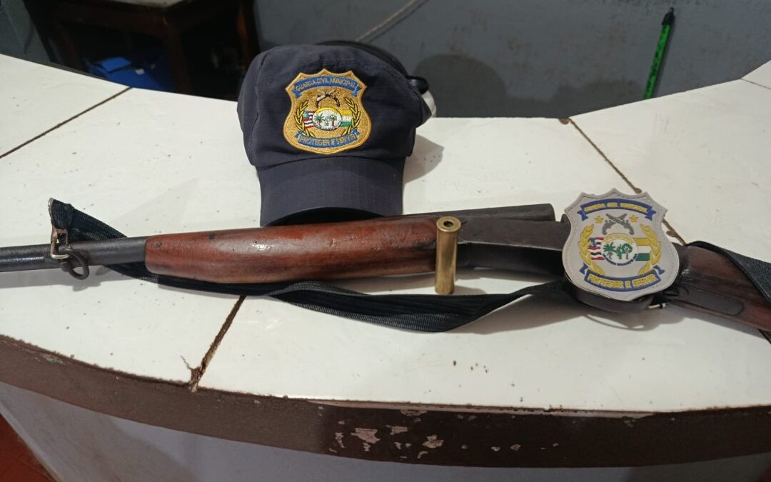 Tragédia! Menino de 8 anos mata irmã com tiro acidental em Vargem Grande